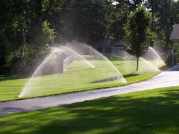 Sprinkler landscape and sidewalk