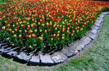 Flowerbed Landscaping